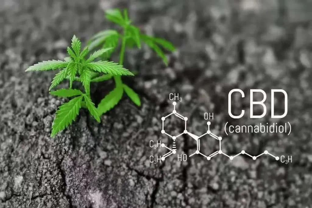 Cannabidiol (CBD) — what we know and what we don’t