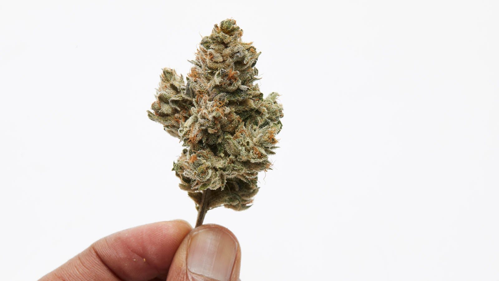 What is cannabis flower and how do you consume it?