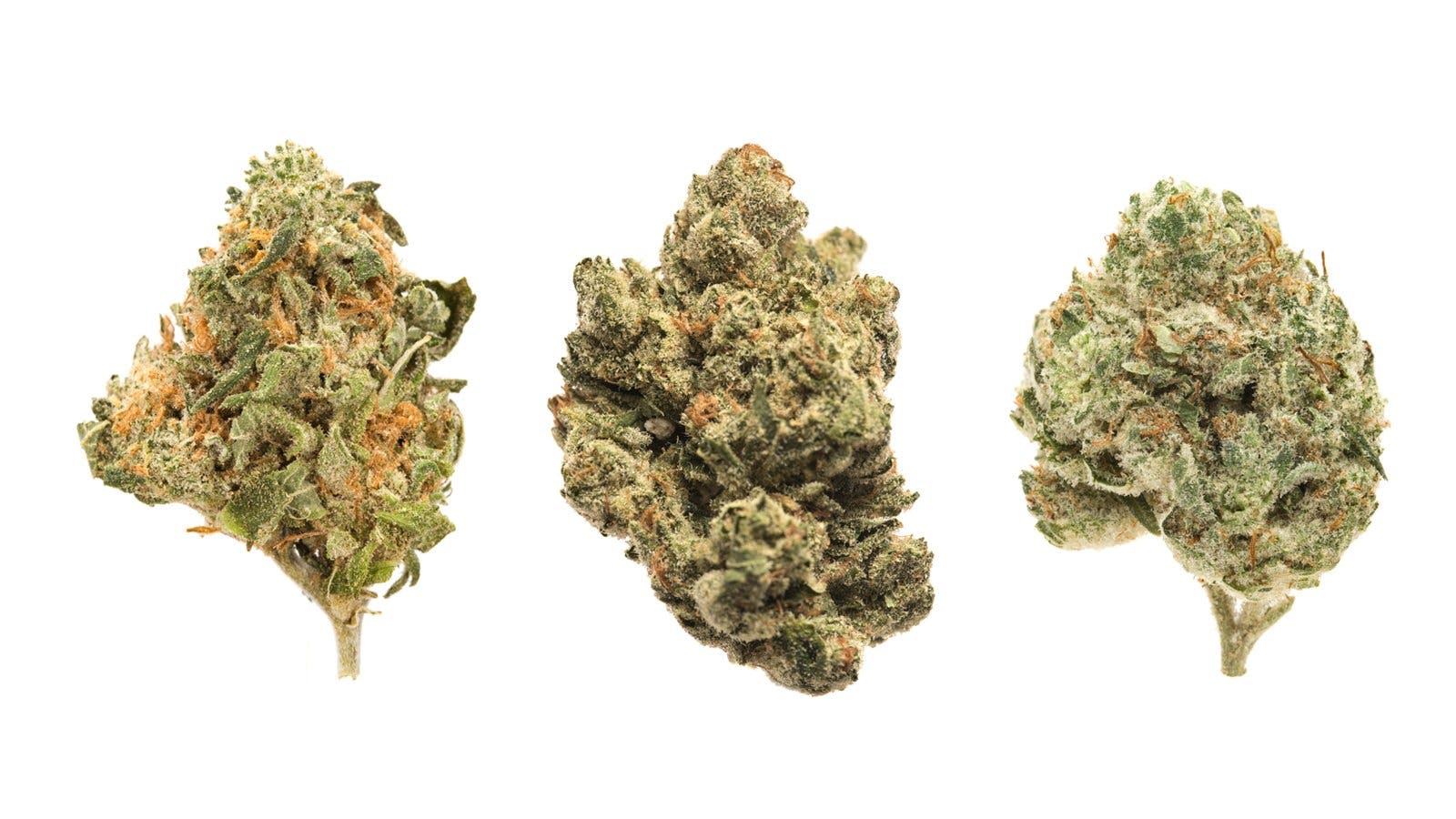 How to decide which strains to try